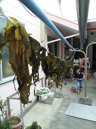 20130320_095016.jpg