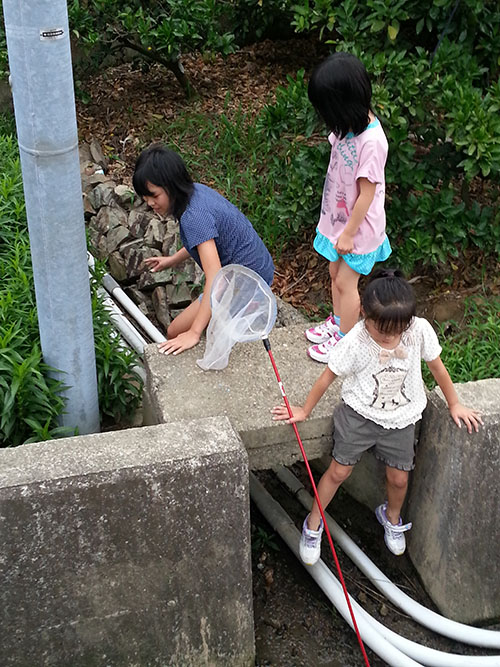 20130623_171004.jpg
