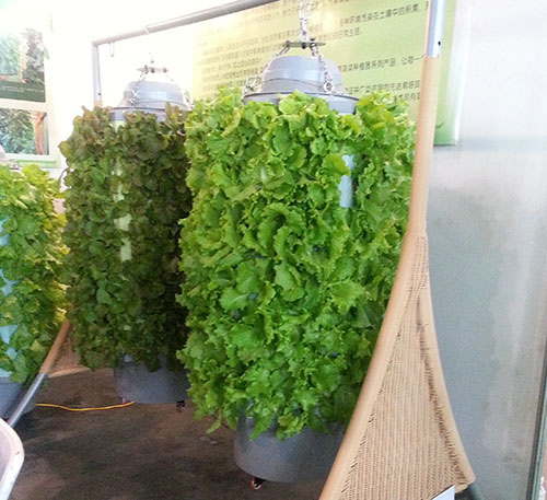 20140927_094333.jpg