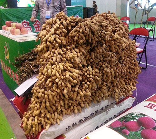 20140927_095856.jpg