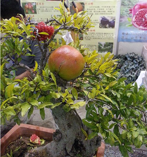 20140927_150924.jpg