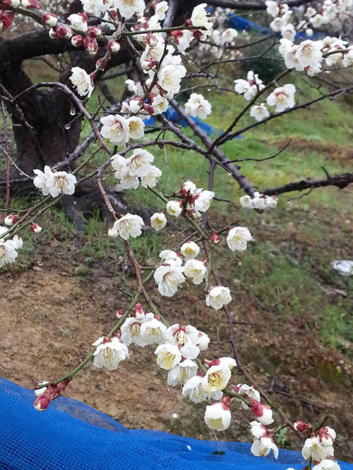 20150222_091058.jpg