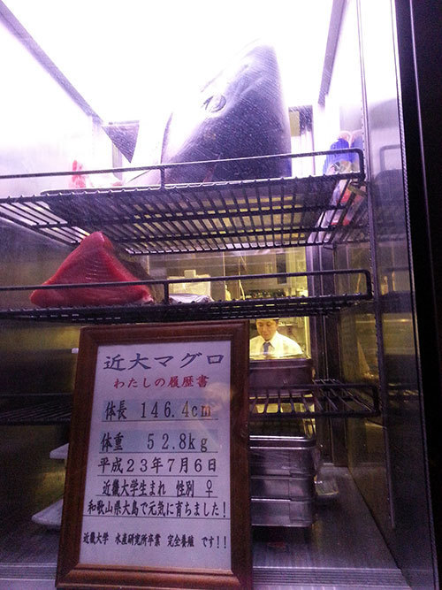 20150311_192333.jpg