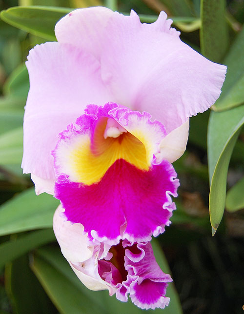 DSC_6189.jpg