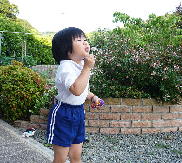 P1070141.jpg