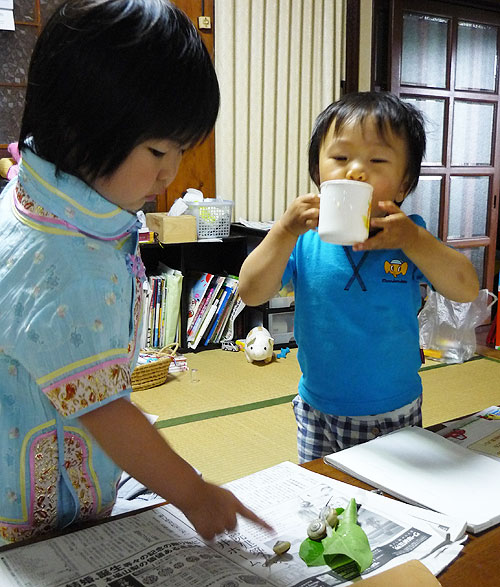 P1070151.jpg