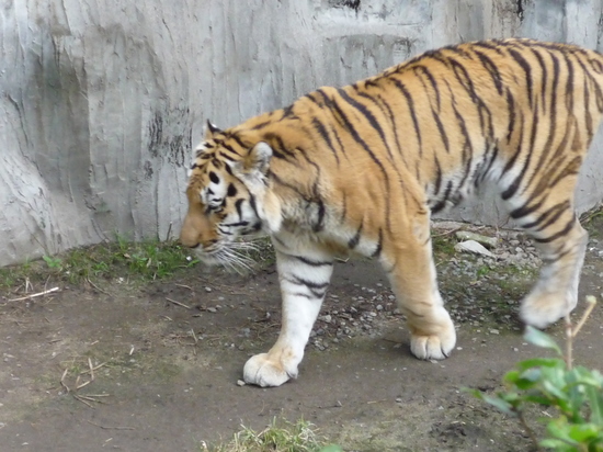 P1140422.JPG